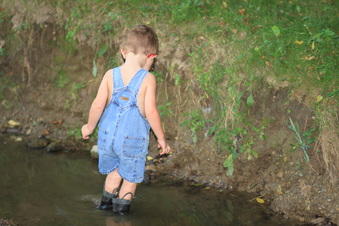 Enlarge photo 111