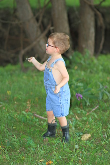 Enlarge photo 130