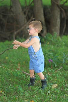 Enlarge photo 133