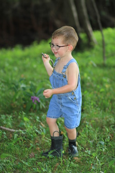 Enlarge photo 137