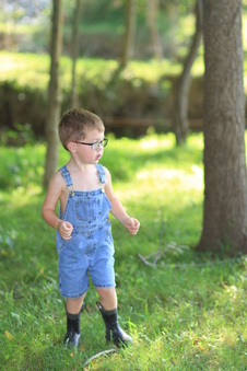 Enlarge photo 151