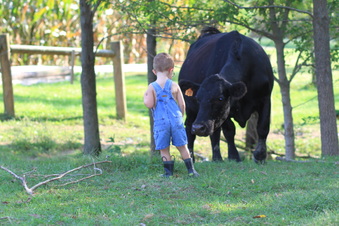 Enlarge photo 164
