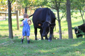 Enlarge photo 165