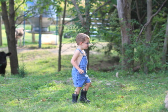 Enlarge photo 167
