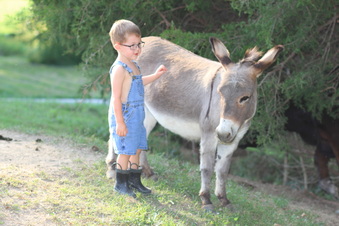 Enlarge photo 170
