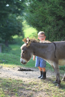 Enlarge photo 175