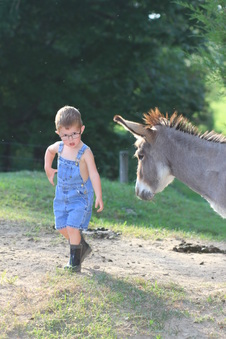 Enlarge photo 176