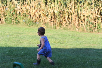 Enlarge photo 264