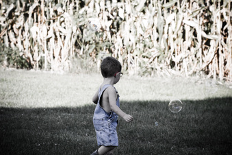 Enlarge photo 278