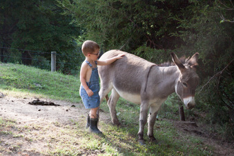 Enlarge photo 437