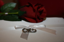 Enlarge photo 47