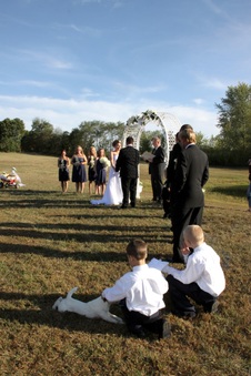 Enlarge photo 126
