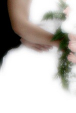 Enlarge photo 49