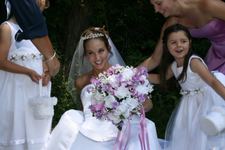 Enlarge photo 66