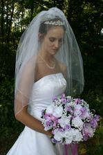 Enlarge photo 172