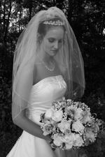 Enlarge photo 173