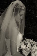 Enlarge photo 175
