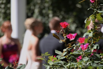 Enlarge photo 235