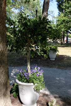 Enlarge photo 302