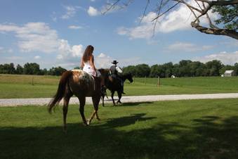 Enlarge photo 1236