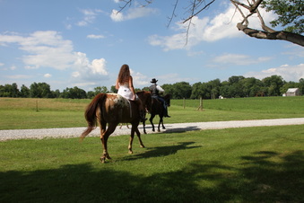 Enlarge photo 1237