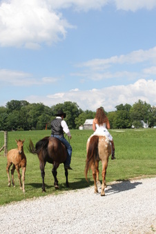 Enlarge photo 1238