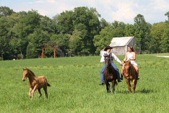 Enlarge photo 1286