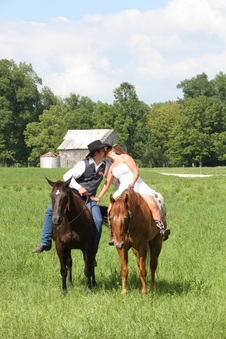 Enlarge photo 1293