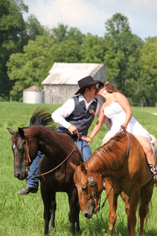 Enlarge photo 1296
