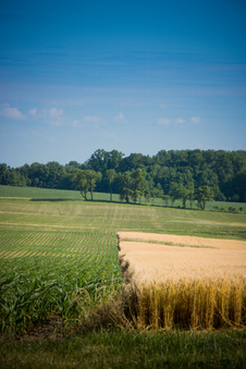 Enlarge photo 17