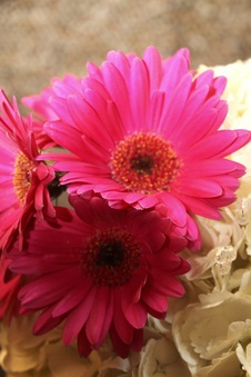Enlarge photo 11