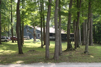 Enlarge photo 303