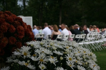 Enlarge photo 259