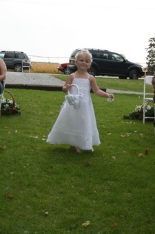 Enlarge photo 282
