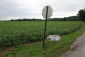 Enlarge photo 64
