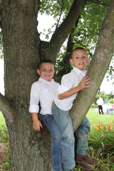 Enlarge photo 108