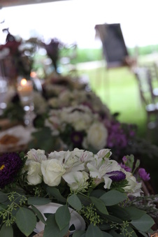 Enlarge photo 461