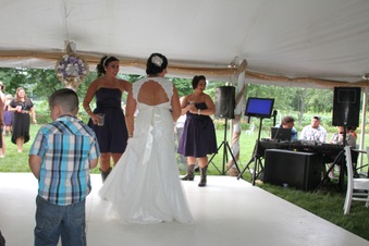 Enlarge photo 499