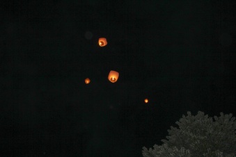 Enlarge photo 559