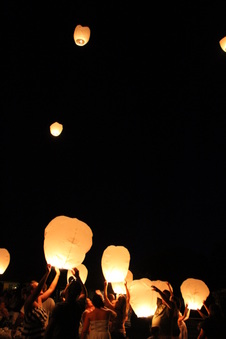 Enlarge photo 562