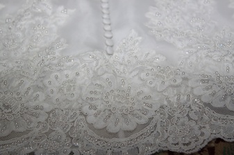 Enlarge photo 543