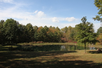 Enlarge photo 40