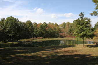 Enlarge photo 41