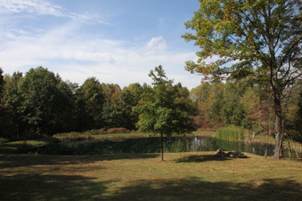 Enlarge photo 43
