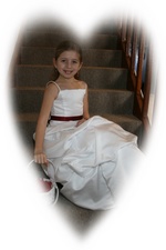 Enlarge photo 251