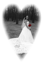 Enlarge photo 329