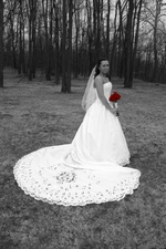 Enlarge photo 328
