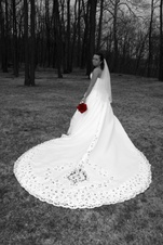 Enlarge photo 321