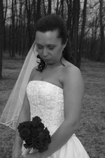 Enlarge photo 293