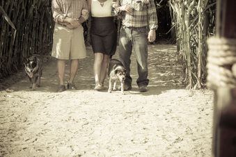 Enlarge photo 57